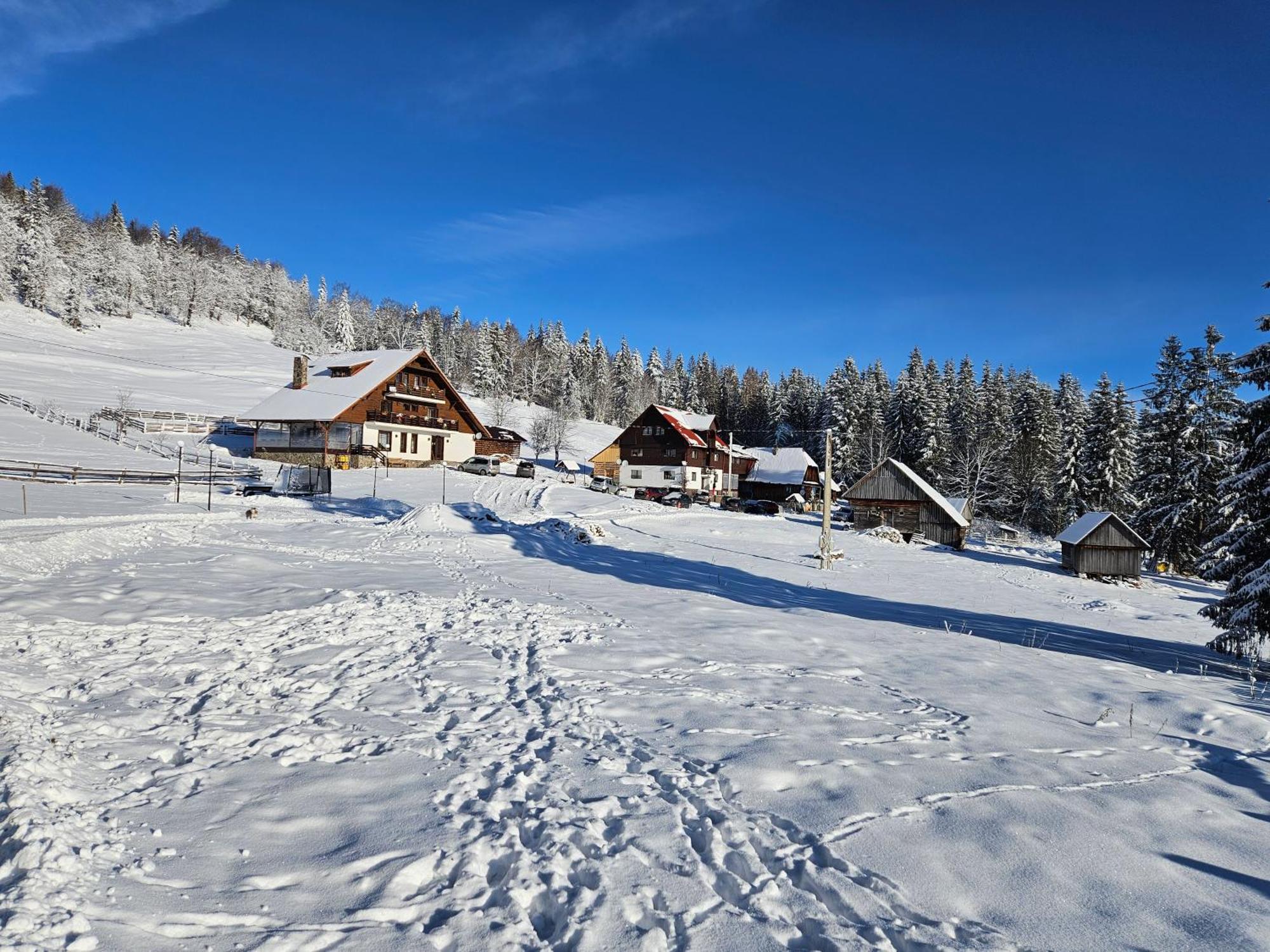Alloggio per agriturismo Pensiunea Scarisoara Ghetari
