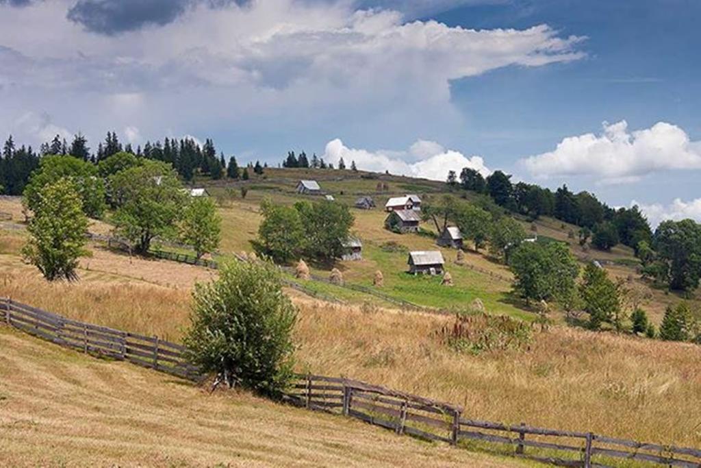 Pensiunea Scarisoara *