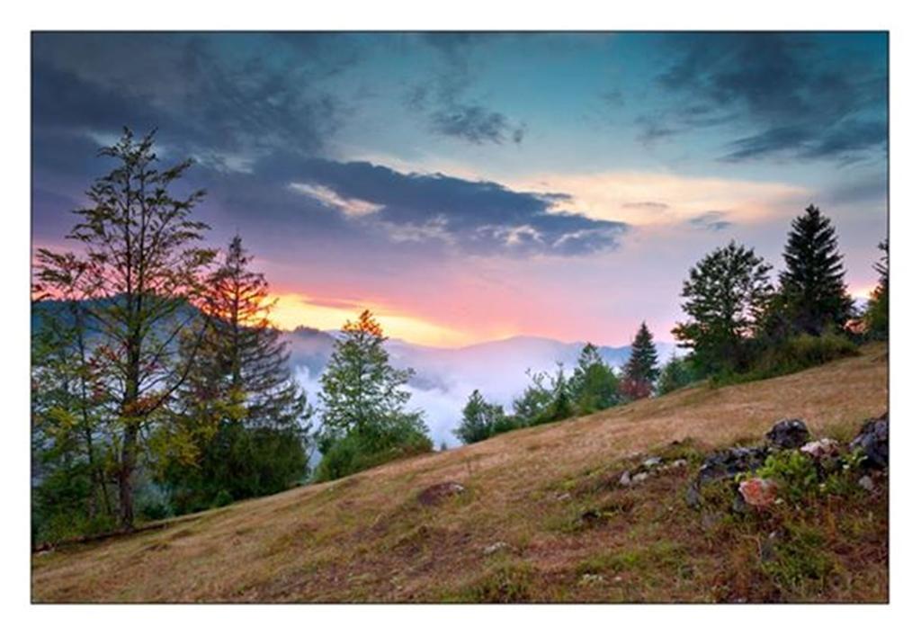 Pensiunea Scarisoara Alloggio per agriturismo *