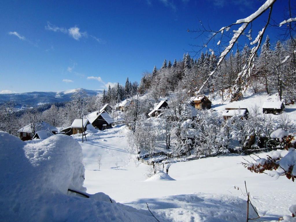 Alloggio per agriturismo Pensiunea Scarisoara Ghetari