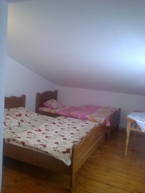 Pensiunea Scarisoara Alloggio per agriturismo