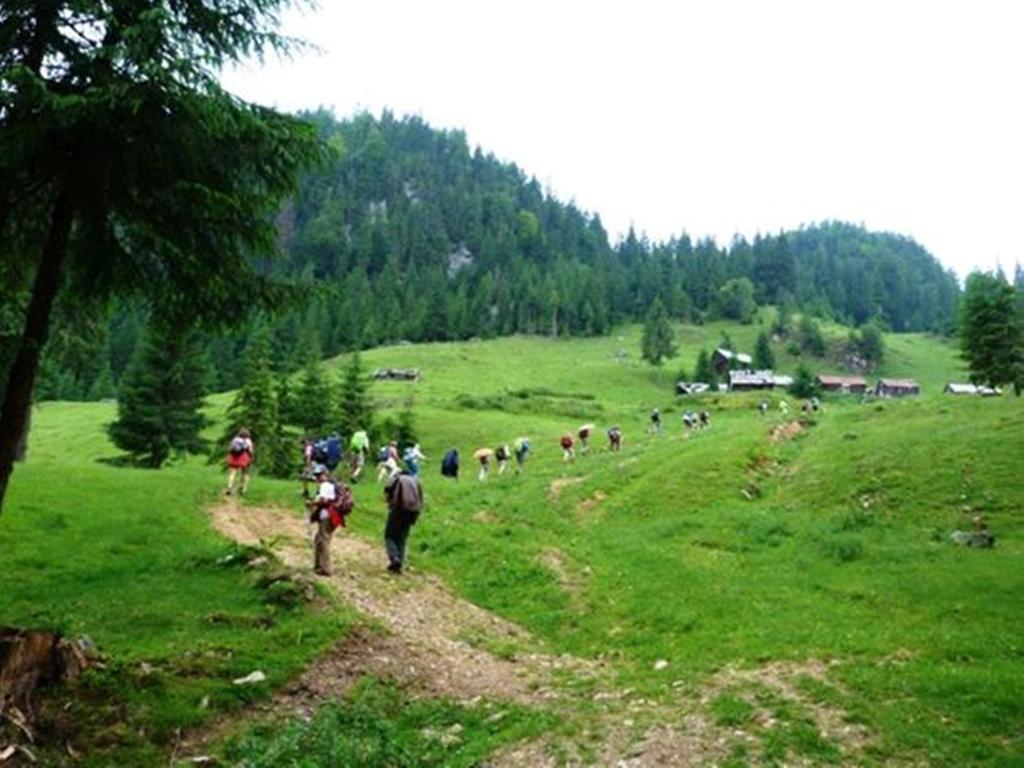 Pensiunea Scarisoara Alloggio per agriturismo