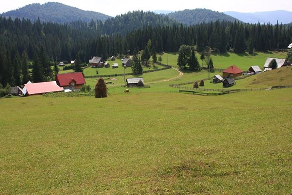 Alloggio per agriturismo Pensiunea Scarisoara *